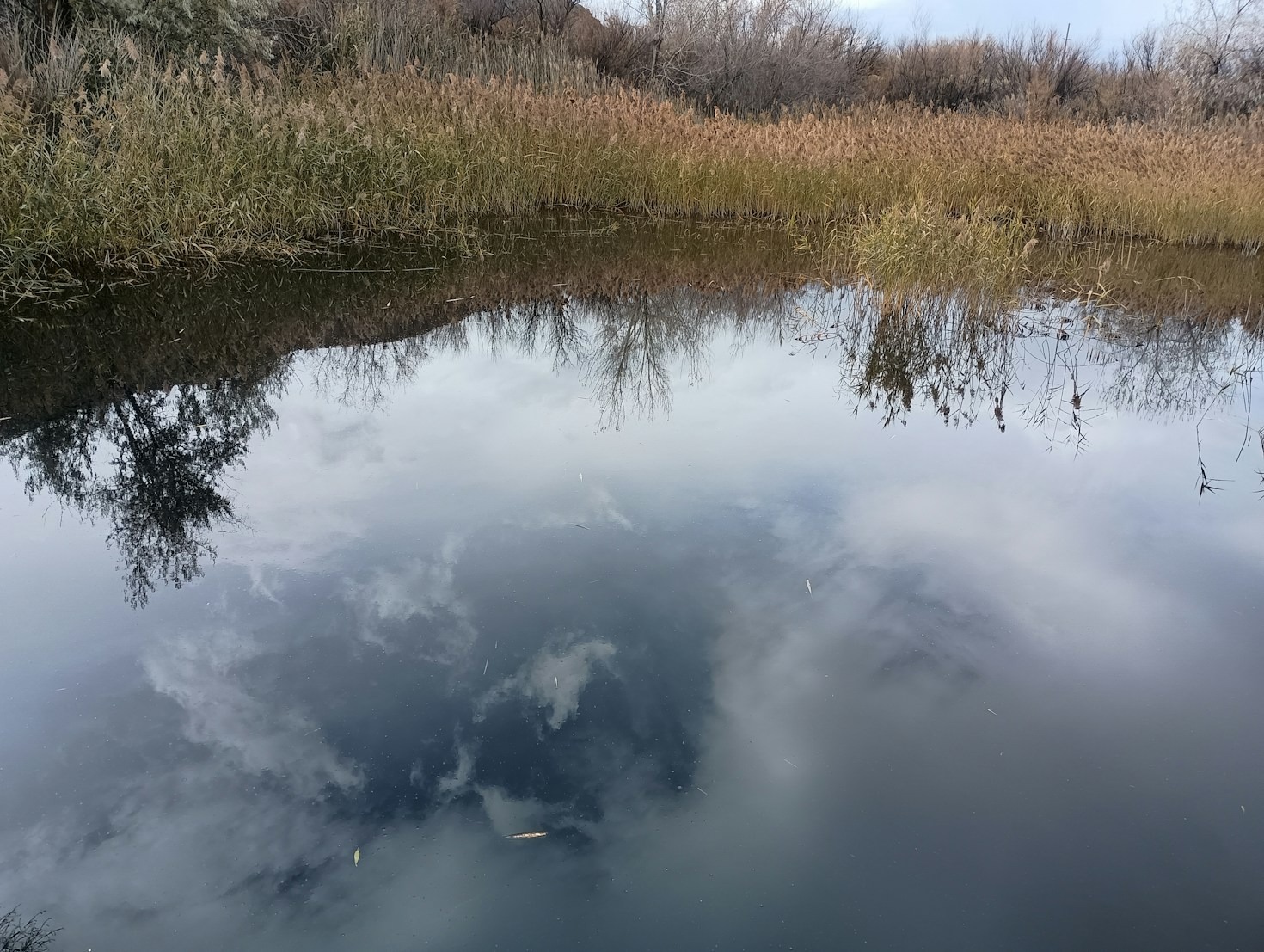 Finding Joy in Life’s Simple Moments